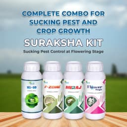 Suraksha Kit Sucking Pest Control at Flowering Stage 45-80 Days (F-Zone 250 ML + Miraj 250 ML + Flower Magic 250 ML + NB 80 250 ML) 2