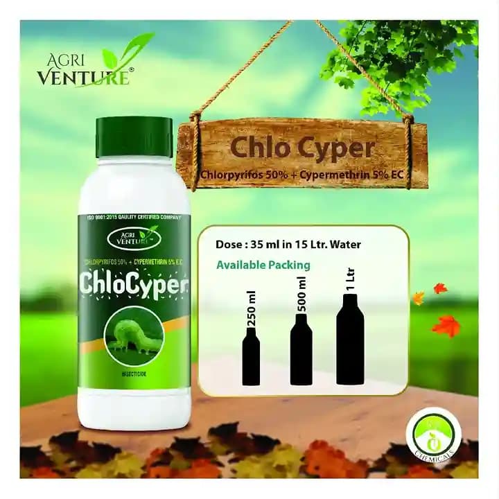 Agriventure Chlocyper (Chlorpyriphos 50% + Cypermethrin 5% Ec) Insecticides