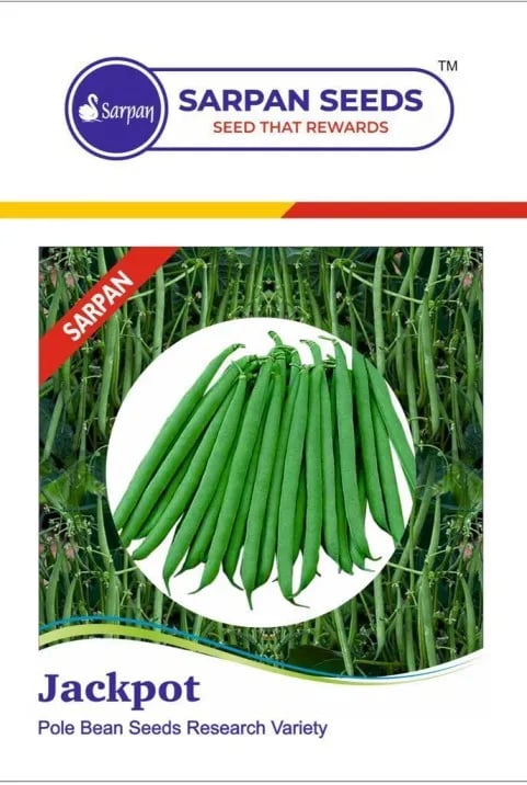 Sarpan Jackpot Pole Beans Research Variety Seeds, Suitable For Kharif And Rabi Season