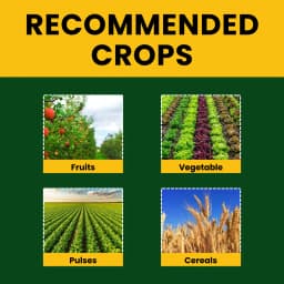 Premium Seaweed Extract Liquid for Plants Vegetables Flowers Fruits Promotes Plant Growth, Flowering, Fruiting - Keeps Plant Healthy and Greenish 8