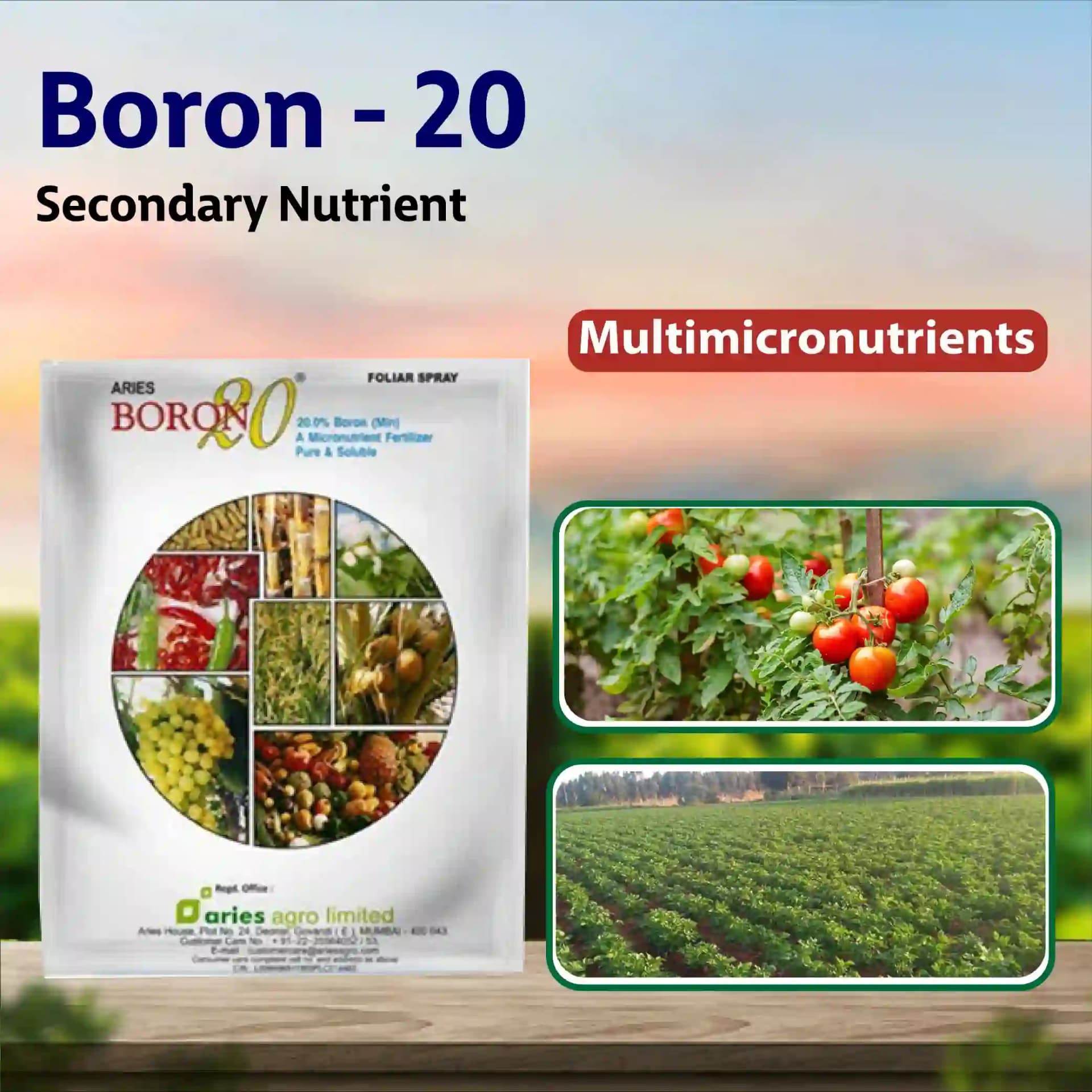 Aries Boron 20 Micronutrient Fertilize - Image 2