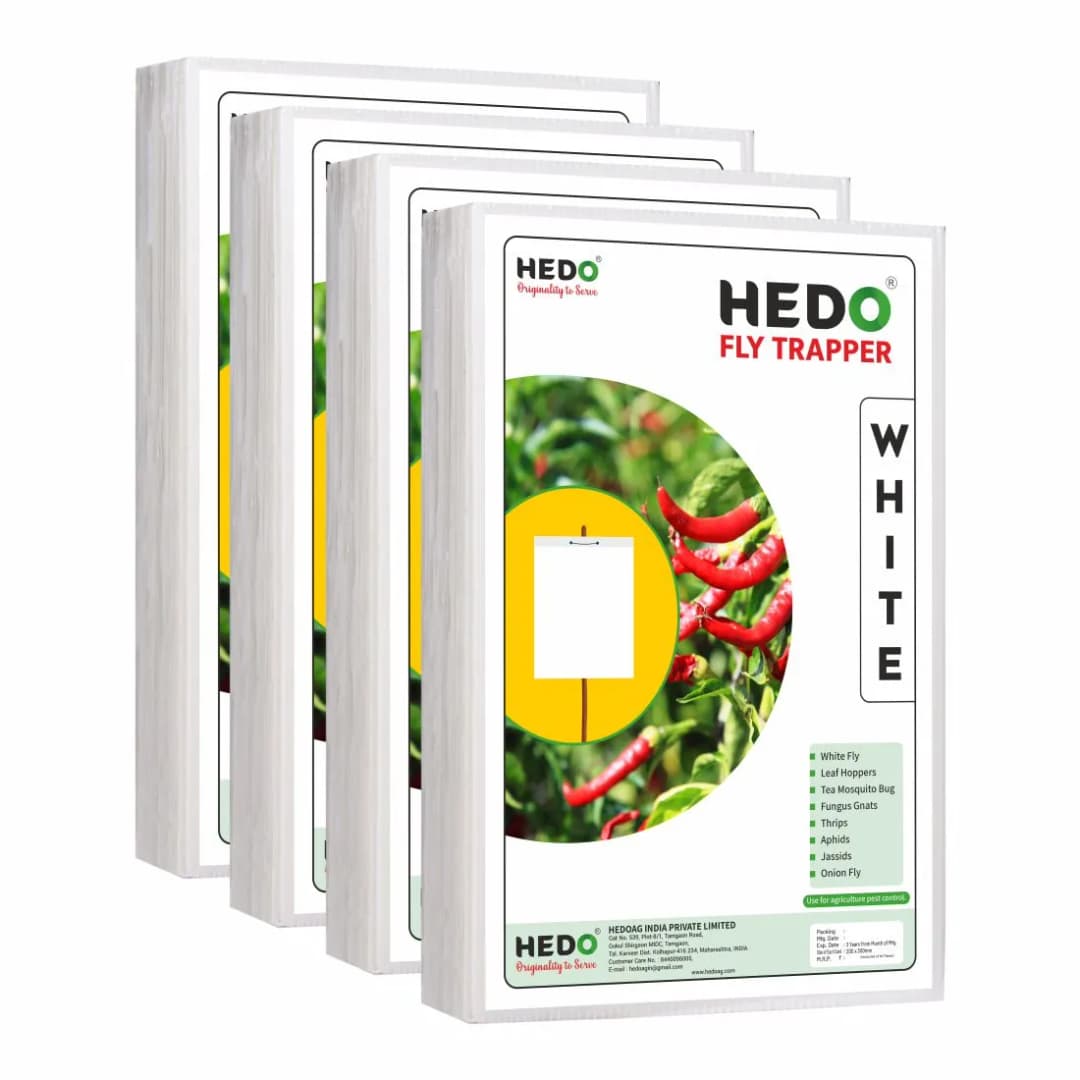 HEDO Eco A4 Size White Sticky Trap For Flower Thrips, Black Thrips, Best For Organic Vegetable And Fruits Farming Pests - Image 3