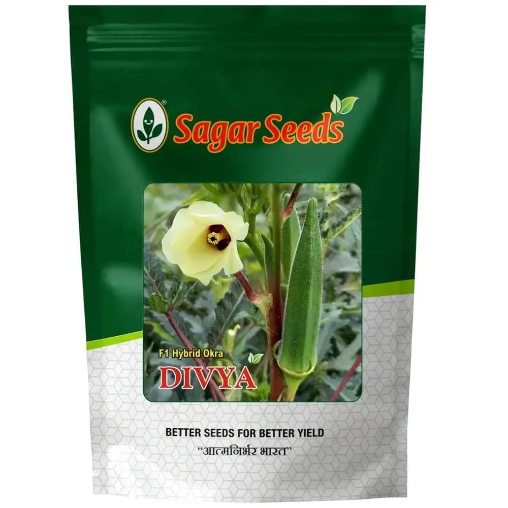 Sagar Divya F1 Hybrid Okra Seeds, High Yield, Virus And Pest Resistant, Shiny Dark Green - Image 1