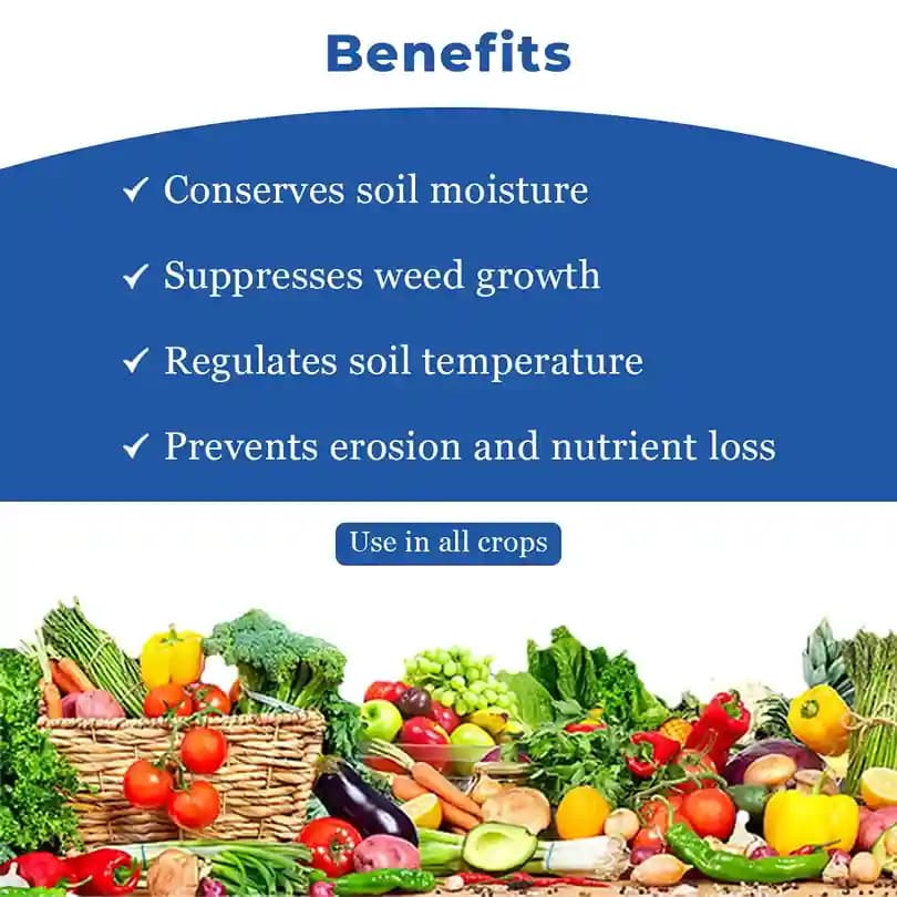 Mulching Film Roll (1m Width x 400m Width) - Image 3