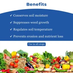 Global Polyplast Mulch Film, Mulching Sheet (1 Meter width x 400 Meters length) 3