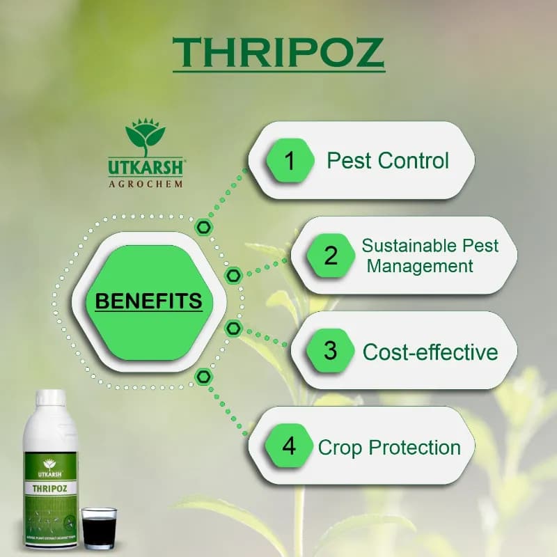 Utkarsh Thripoz, Natural Plants Extract, Against Thrips, Natural Plant Protector For Sucking Pests, Aphids And White Fly - Image 3