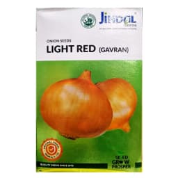 Jindal LIGHT RED (GAVRAN) F1 Hybrid Onion Seeds, Kanda Beej, Round Bulbs Variety 1