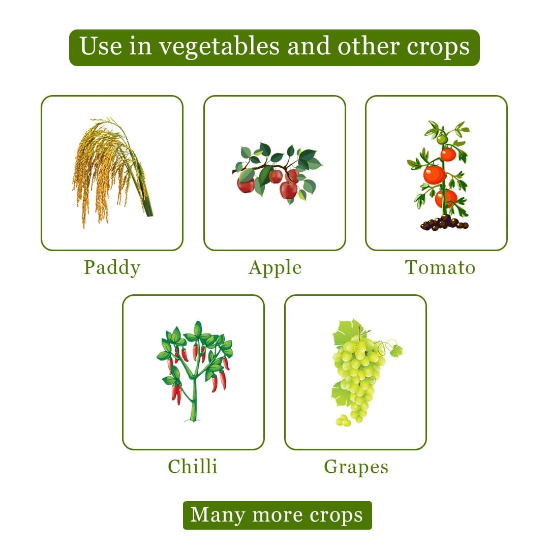 EBS Tucol Fungicide - Propineb 70% WP - Image 5