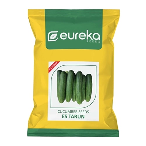 Eureka ES TARUN F1 Hybrid Cucumber Seeds, High Yield And Crisp Green Fruits