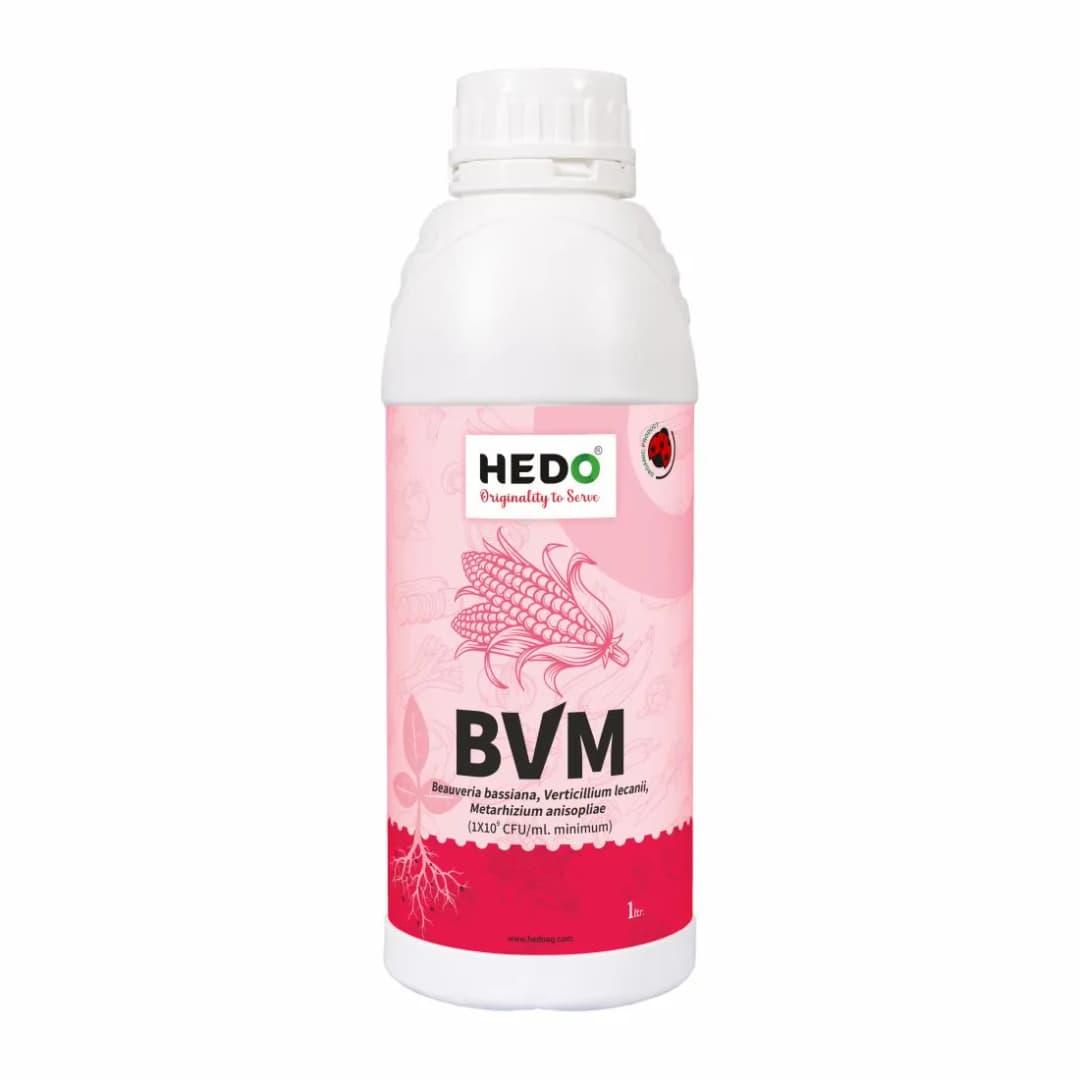 HEDO BVM (Beauveria bassiana + Verticillum Lecanii + Metarhizium Anisopliae) Liquid Bio Pesticide, Targets Many Pests, Including Aphids, Thrips, Etc