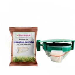 SK Agrotech Scirpophaga Incertulas (Rice Yellow Stem Borer) Pheromone Trap With Lure - Effective Control For Rice Yellow Stem Borer 1