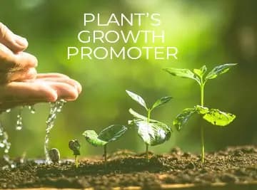 GreeNgrowth Plants Growth Promoters And Nutrients Enhancer for All Types of Plants - Image 3