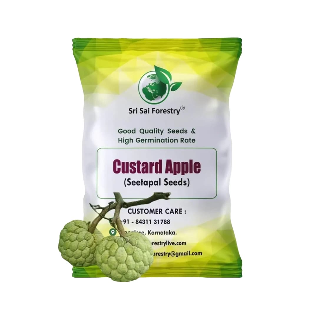 SRI SAI FORESTRY Custard Apple Seeds, Sitafal Ke Beej, Sugar Apple Seeds, Sweetsop Seeds, Annona squamosa Fruit Tree Seeds