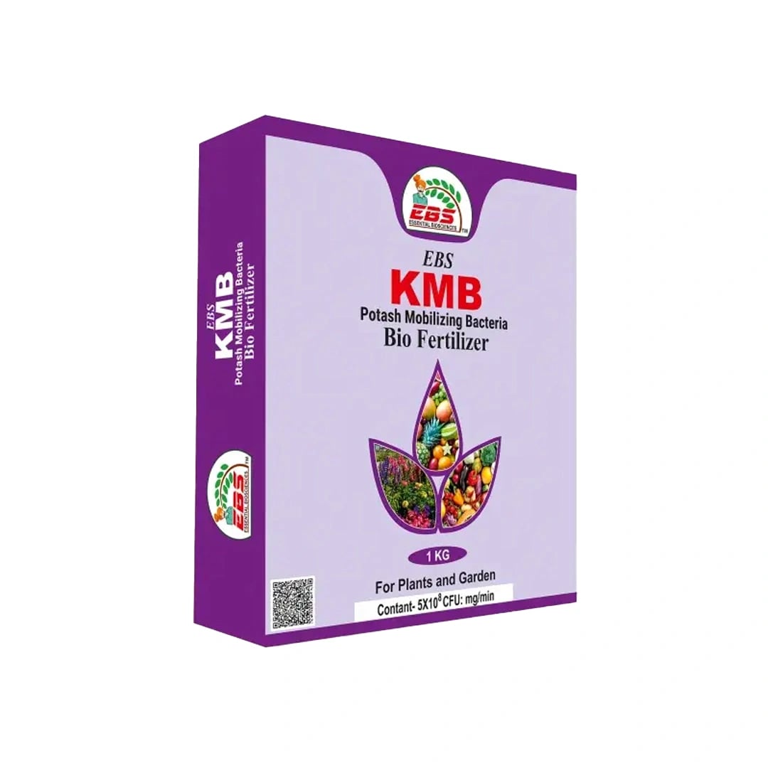 EBS KMB Potash Mobilizing Bacteria Bio-Fertilizer