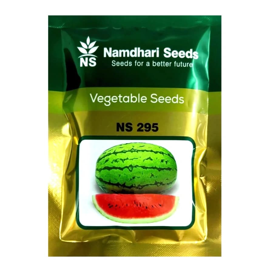 Namdhari NS 295 F1 Hybrid Watermelon Seeds, Oblong Shape, Attractive Jubilee Rind Pattern