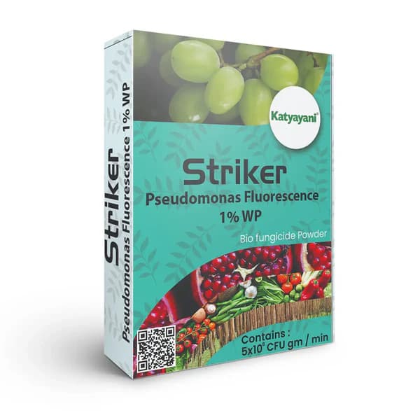 Katyayani Striker Pseudomonas Fluorescens Bio Fungicide, Controls Soil Borne, Seed Borne Pathogens, Root Knot Nematodes