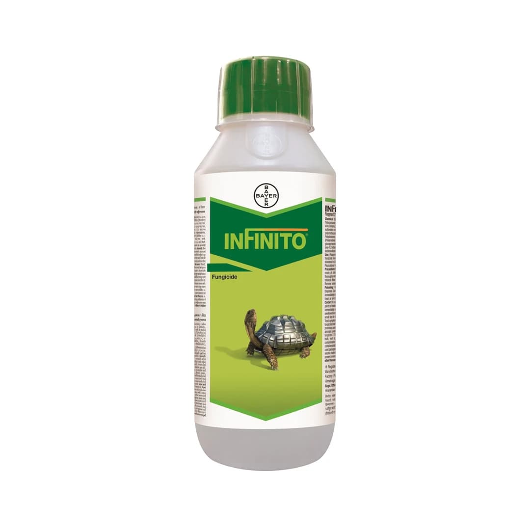 Bayer Infinito Fluopicolide 5.56% ww + Propamocarb Hydrochloride 55.6% Fungicide