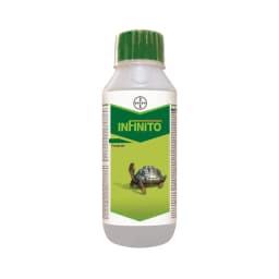 Bayer Infinito Fluopicolide 5.56% ww + Propamocarb Hydrochloride 55.6% Fungicide 1