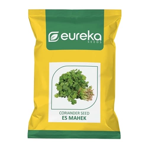 Eureka ES MAHEK Improved Hybrid Coriander Seeds, High Yield, Multi-Cut Variety - Image 1