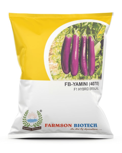 Farmson FB-Yamini (4070) Brinjal Seeds - (Baingan Seeds) Pink Fruit Color, Semi Erect Plant