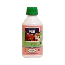 Dr. Bacto\'s PSB, Phosphate Solubilizing Bacteria Organic Fertilizer, Harmless, Eco-friendly, And Low-Cost Agro-Input. 1