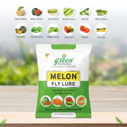 Green Revolution Yellow IPM Trap With Melon Fly Lure, Effective For Fly Control In Vegetable 5