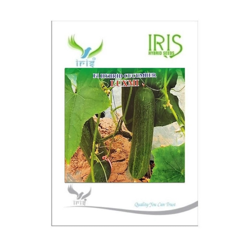 Iris Luxmi F1 Hybrid Cucumber Seeds, Suitable For Various Climatic Conditions