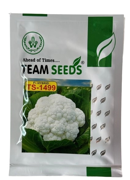 Team Seeds F1 Hybrid TS-1499 Cauliflower Seeds, For Kharif and Summer Season