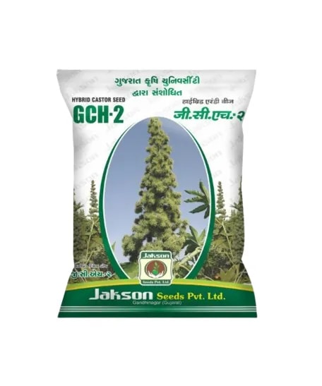 Jakson GCH-2 Hybrid Castor Seeds