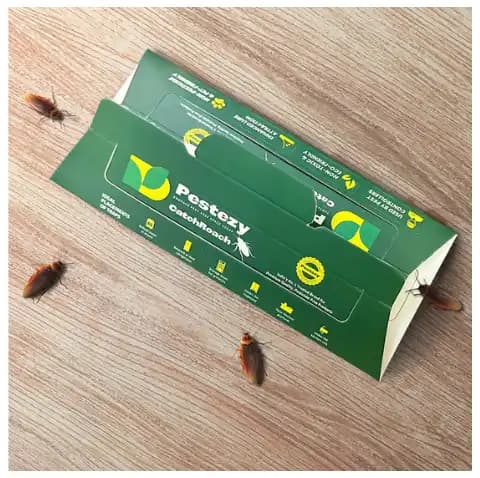Pestezy CatchRoach Cockroach Trap, Non-Toxic, Eco-Friendly, Sticky Glue Traps For Home And Kitchen - Image 5