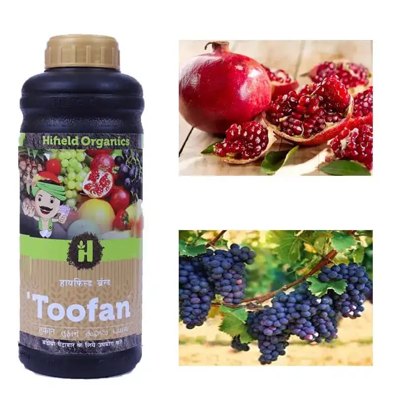 Hifield Toofan Amino Acid, Fulvic Acid, and Multi Vitamins, For Enhancing Nutrient Uptake And Stimulating Plant - Image 6