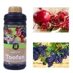 Hifield Toofan Amino Acid, Fulvic Acid, and Multi Vitamins, For Enhancing Nutrient Uptake And Stimulating Plant 6