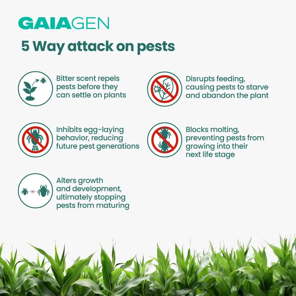 Gaiagen NEEM BAAN Azadirachtin 0.15%, 1500 PPM, Dual Protection Against Pests & Diseases - Image 5