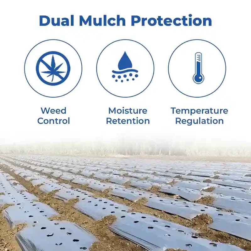 Mulching Paper, Mulching Sheet (1 Meter , 3.28 Ft) 400 Meters Length, Best Quality - Image 3