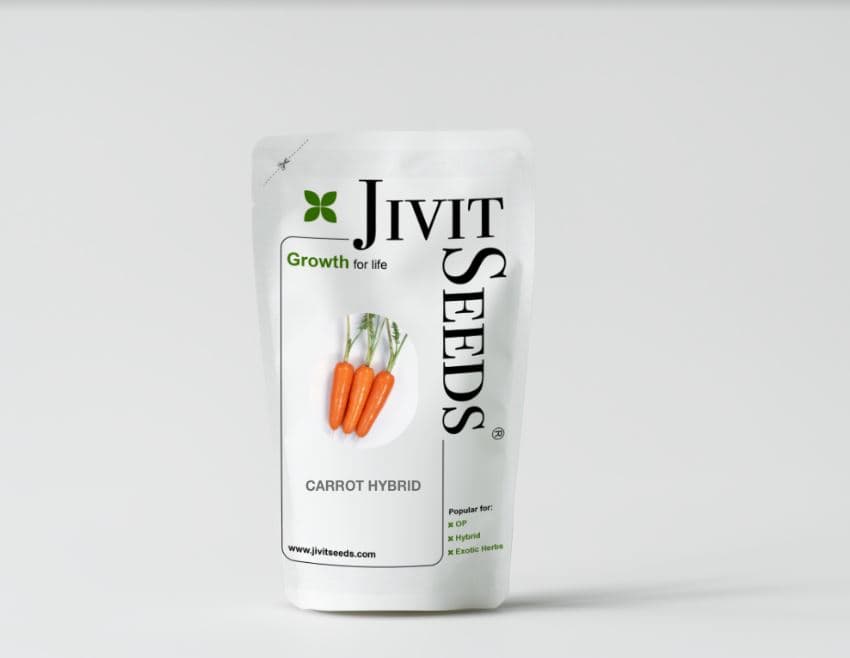 Jivit F1 Hybrid Nimrat Carrot Seeds, Nantes Type Hybrid, Deep Orange Colour. - Image 2