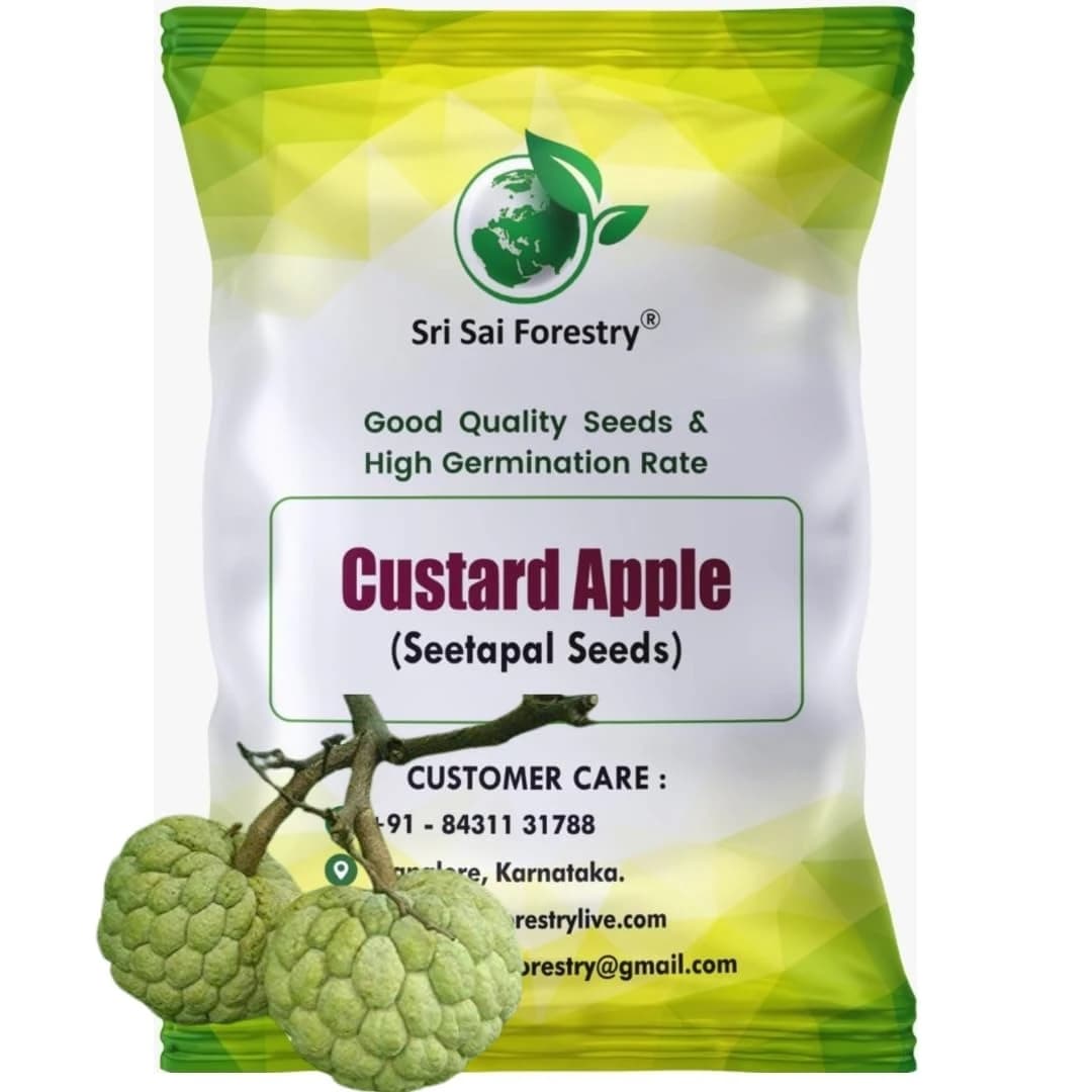 SRI SAI FORESTRY Custard Apple Seeds, Sitafal Ke Beej, Sugar Apple Seeds, Sweetsop Seeds, Annona squamosa Fruit Tree Seeds