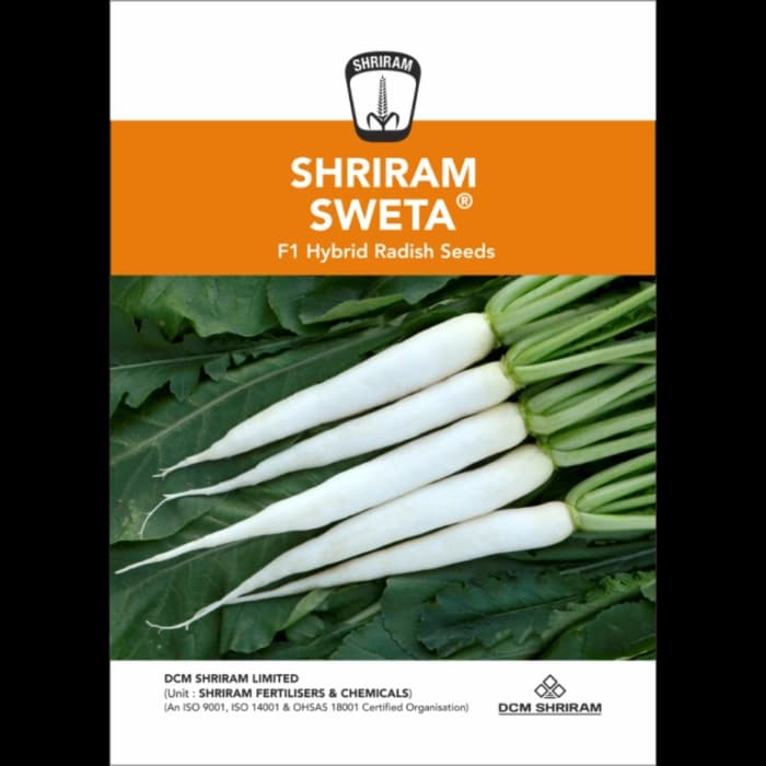 Shriram SWETA F1 Hybrid Radish Seed, Cylindrical Shape And Shiny White Color
