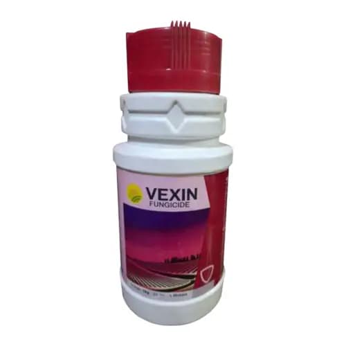 Godrej VEXIN Tebuconazole 10% + Sulphur 65% WG Fungicide, For Powdery Mildew, Rots And Blights - Image 1