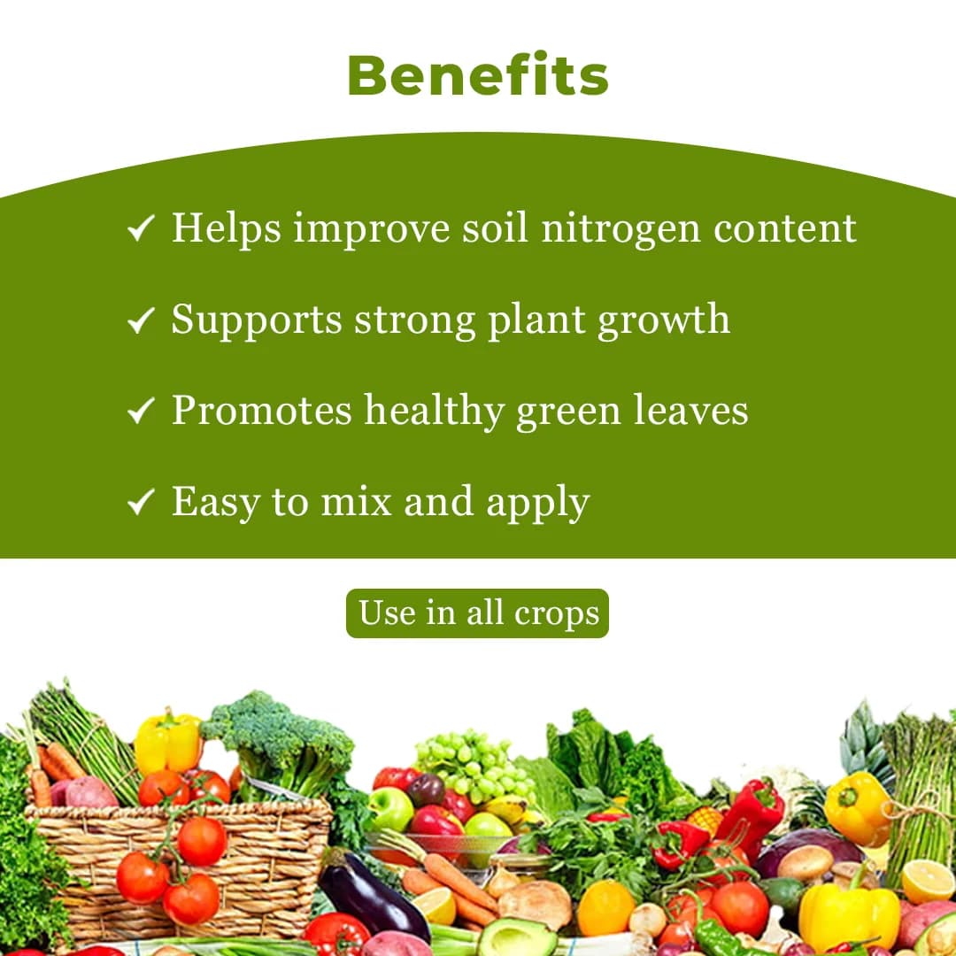 GACIL NPK 21-0-0 - Ammonium Sulphate Fertilizer - Image 4