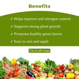 GACIL NPK 21-0-0 Ammonium Sulphate 21% Fertilizer For Garden Plants & Agriculture Farming Crops, White Crystalline Powder. 4