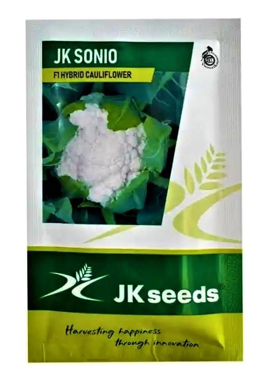 JK Sonio F1 Hybrid Cauliflower Seed, High Yield, Disease Tolerant, Smooth Curd