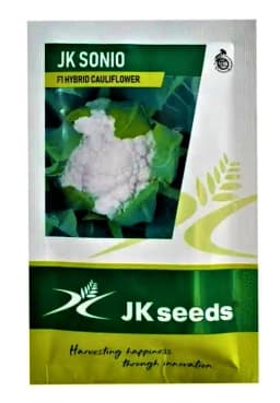JK Sonio F1 Hybrid Cauliflower Seed, High Yield, Disease Tolerant, Smooth Curd 1