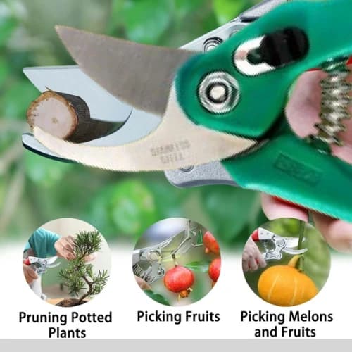 Stainless Steel Garden Scissors, Flower Cutter With Soft Grip Handle For Pruning, Trimming & Gardening - Image 3