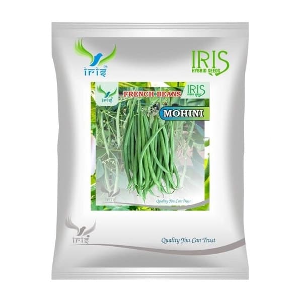 Iris Mohini Hybrid OP French Beans Seeds, Early Bushy Variety And Slender Smooth Green Pods
