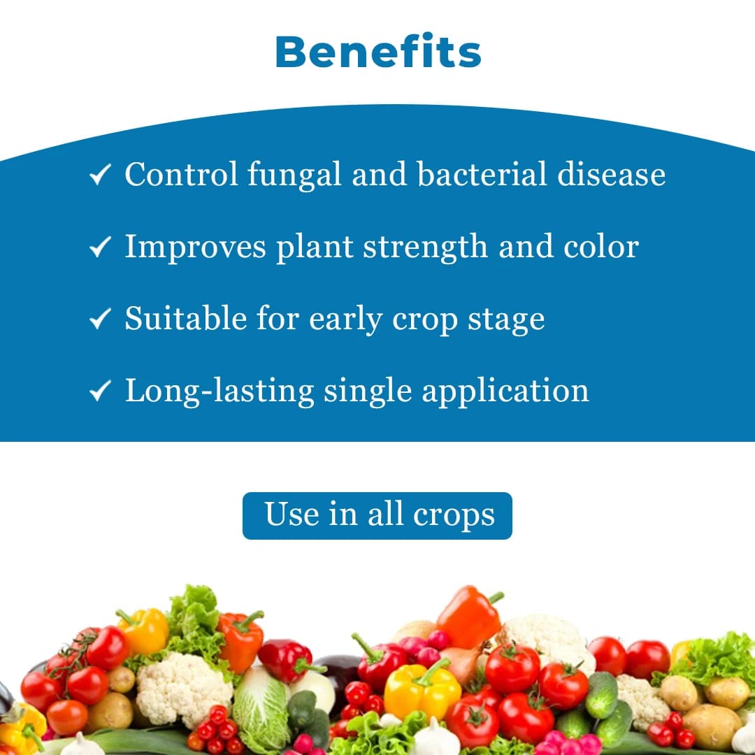 Katyayani K-Bordeaux Mixture Fungicide, Effectively Prevents Fungal Diseases. - Image 4