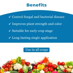 Katyayani K-Bordeaux Mixture Fungicide, Effectively Prevents Fungal Diseases. 4
