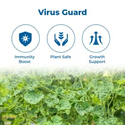 Virus Special (Set of Immuno 1 ltr + Enviro 1 ltr), Botanical Viricide, Contain Auxins, Cytokinins. 3