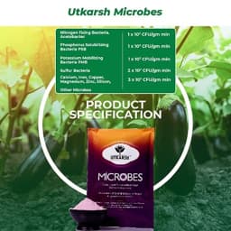 Utkarsh Microbes Carrier Based Consortia Bio Fertilizer, For Nitrogen Fixing, Phosphorus & Potassium Mobilization 4