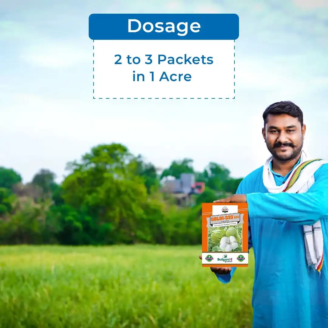 Goldi-333 BGll Hybrid Cotton Seeds (475 Gm) Bollgard ll Technology, Kapas Ke Beej - Image 5