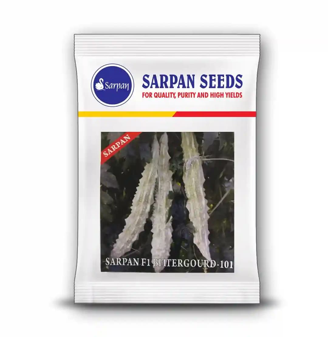 Sarpan 101 F1 Hybrid Bitter Gourd Seeds, Highly Tolerant to Diseases, Fruit is white, glossy, spiny